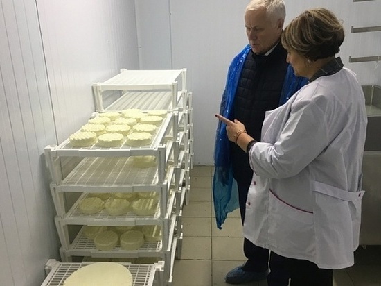На севере Кировской области делают итальянский сыр