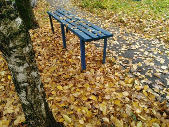 Неделя в Перми будет теплой