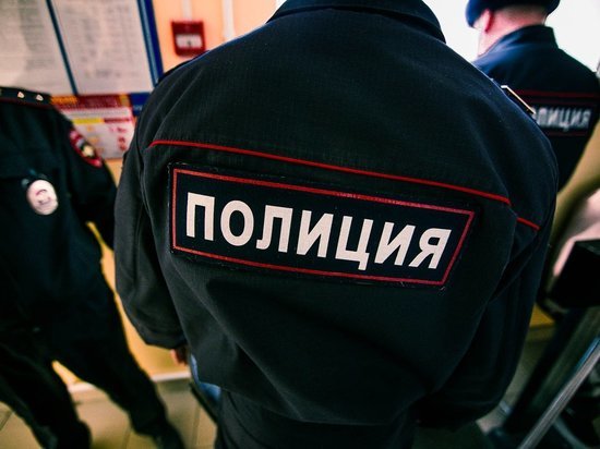 Заместителя председателя отделения партии «Яблоко» в Алтайском крае могут посадить в тюрьму