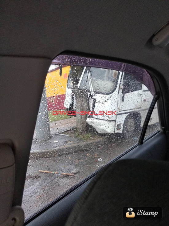 Пассажирский автобус врезался в дерево в Смоленске