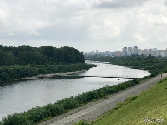 Бездомные собаки в Кемерове застряли на острове