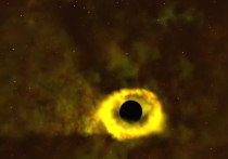 Группе специалистов, работающих с телескопом TESS, впервые удалось в деталях изучить поглощение звезды черной дырой
