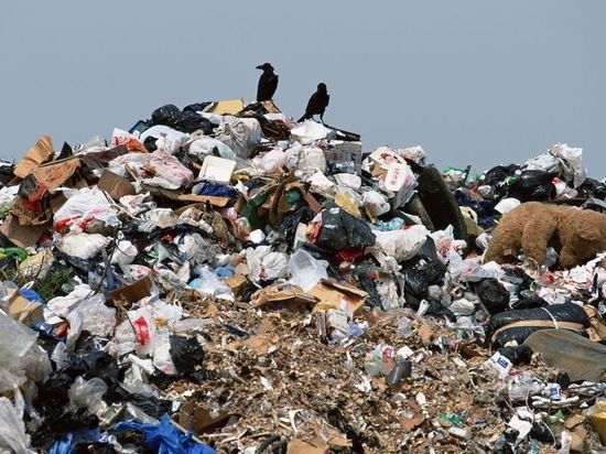 В Башкирии планируют построить мусоросортировочный комплекс