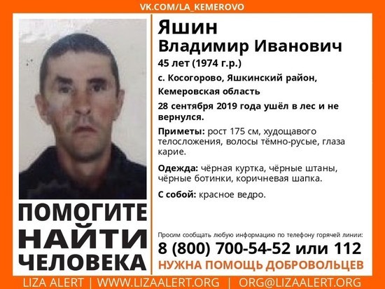 Ушедшего в лес мужчину с красным ведром ищут в Кузбассе