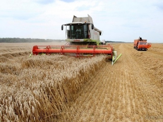 Сельские труженики городского округа Серпухов в этом году собрали зерновых и зернобобовых культур более 4000 тонн с площади 1804 га.