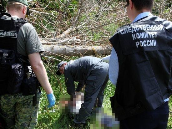 СК завершил расследование по убийству на «тропе здоровья» в Солотче