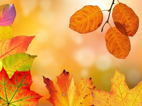 В Удмуртии до 6 октября ожидается теплая погода