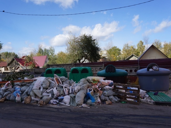 Площадки для мусора в Калужской области дооснастят контейнерами