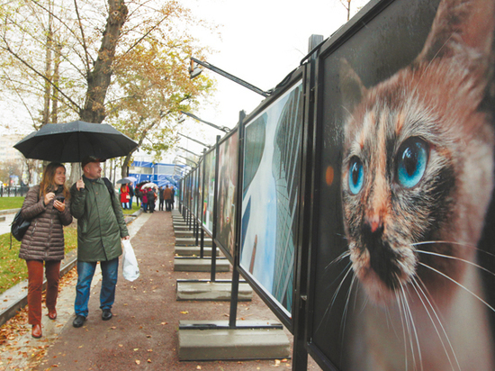 В центре Москвы открылась экспозиция фотокорреспондентов «Московского комсомольца»