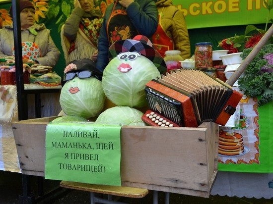 В Ивановской области выберут самое очаровательное огородное пугало