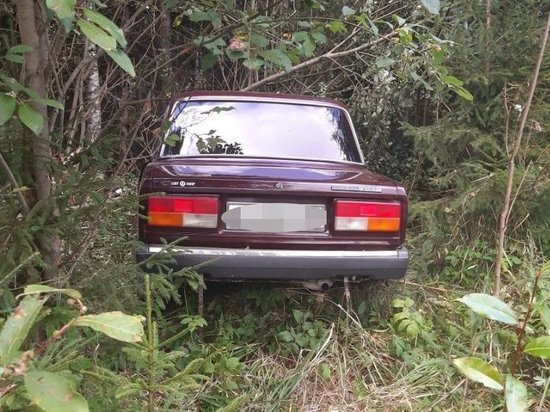 На трассе в Тверской области спящий водитель въехал в дерево