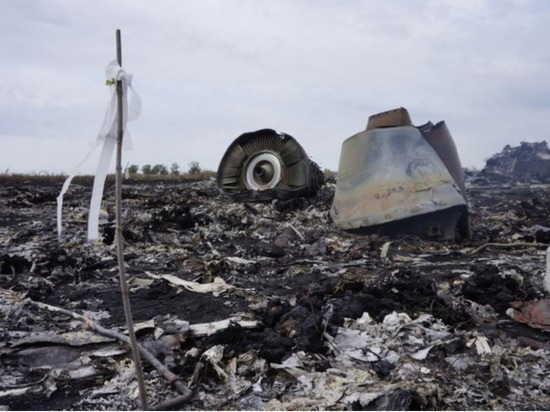 В Нидерландах потребовали изучить роль Украины в крушении MH17