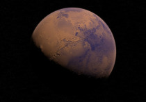 Чтобы сделать Марс пригодным для обитания человека, человечеству следует отказаться от стремления найти на нем жизнь