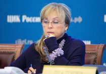 Новации в закон о выборах, о необходимости которых так долго говорила глава Центризбиркома Элла Памфилова, были озвучены в среду