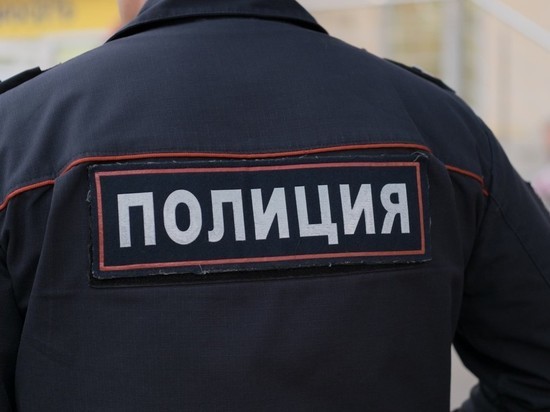 Боец джиу-джитсу травмировал полицейских при задержании в Москве