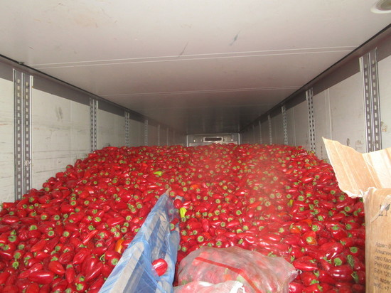 В Оренбургскую область не пустили  свыше 360 тонн продукции из Казахстана и Киргизии