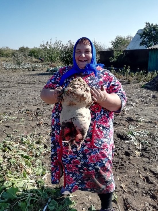 Жительница Курской области вырастила гигантскую свеклу