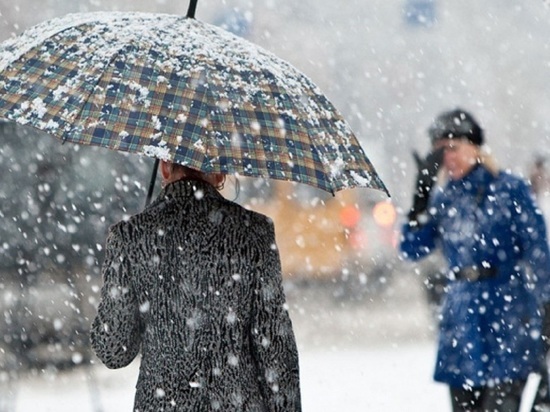 В конце рабочей недели Архангельск может завалить мокрым снегом