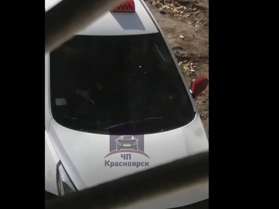 Водителя «Яндекс.Такси» в Красноярске обвинили в наркомании