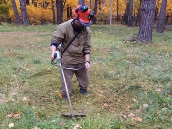 В участковых лесничествах филиала «Русский лес» «Мособллес» специалисты филиала осуществляют окос жухлой травы.