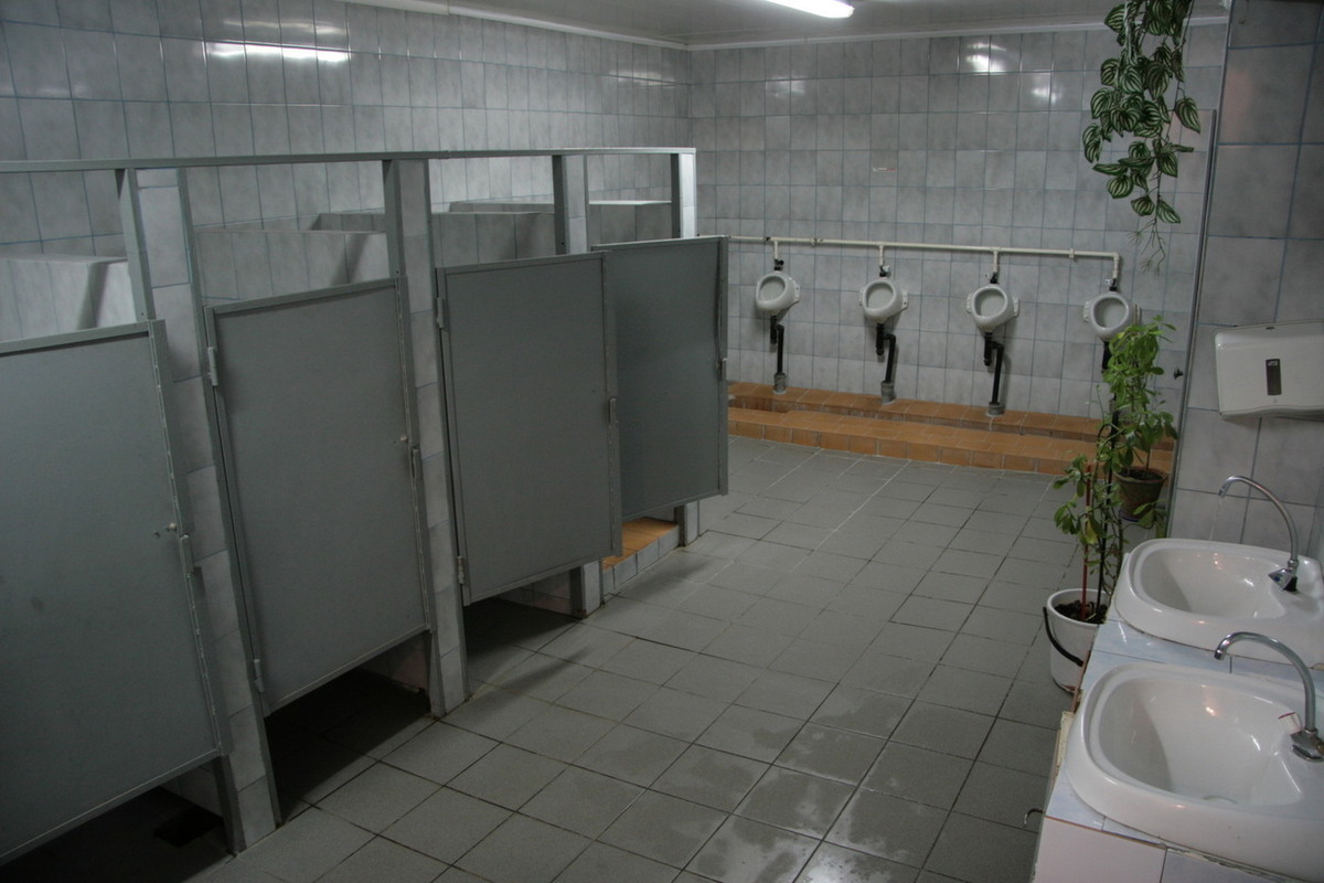 Какие туалеты в школе. Туалет в школе. Санузел в школе. Унитаз в школе. Туалеты в российских школах.