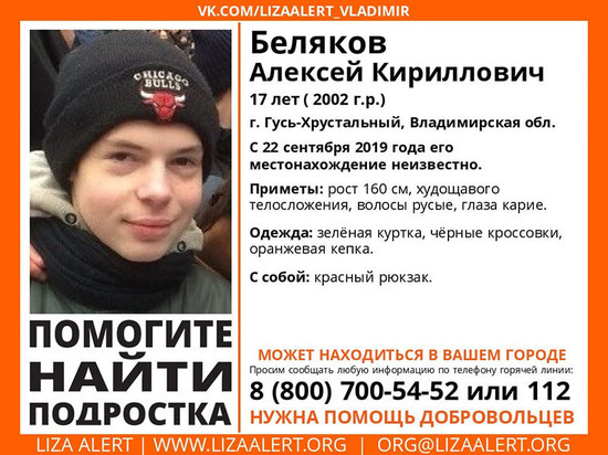 Во Владимирской области ищут пропавшего 17-летнего парня