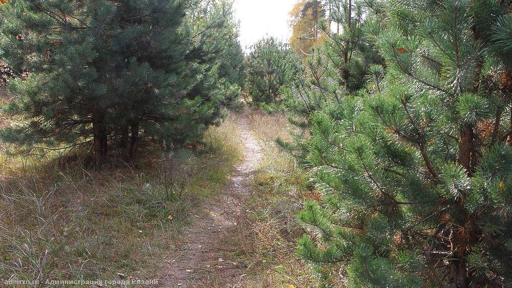 Тропа паустовского в солотче схема