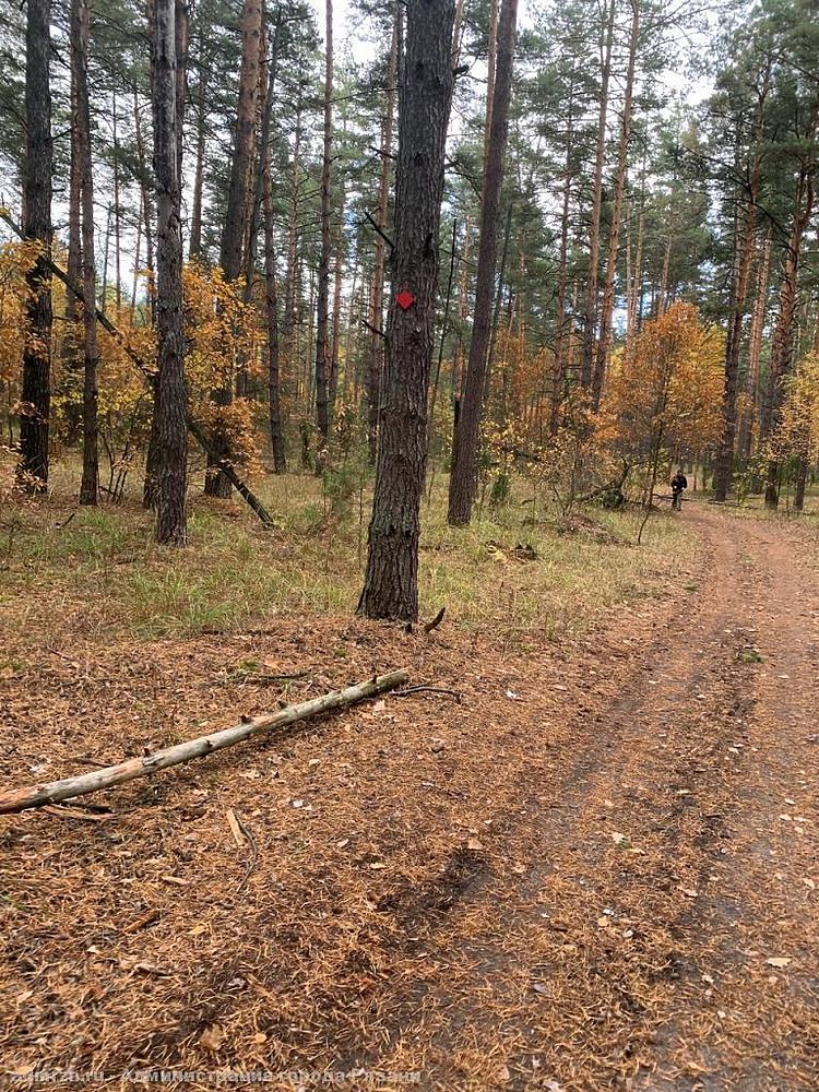 Карта тропы паустовского рязань