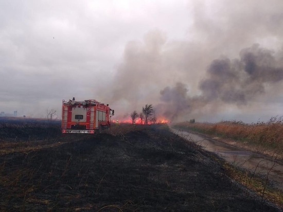  Под Ростовом выгорело четыре гектара камыша