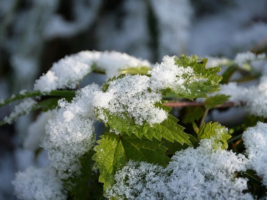 МЧС предупреждает: в ближайшие часы в Нижегородской области возможен снег
