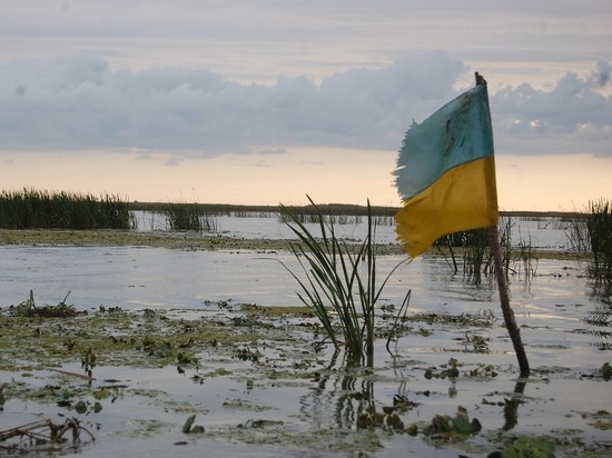 Украинские военнослужащие извинились, что "не сдохли" в Донбассе