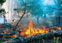 В Забайкальском крае участились случаи возникновения лесных пожаров