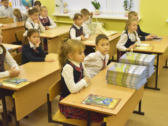 Ярославские школьники отметили День защиты животных тематическим уроком, благотворительной акцией и конкурсом