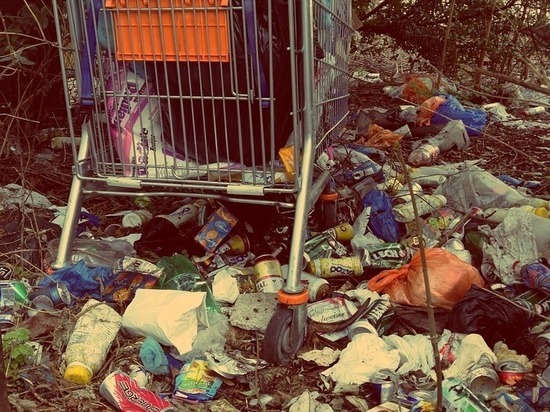 «Люди у нас не приучены убирать за собой»:  истории красноярцев, которые сдают мусор в переработку