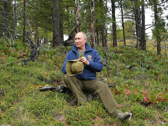 В свой день рождения Путин повысил зарплаты Бастрыкину и Чайке