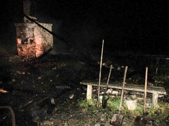 В Тверской области выясняют, почему мать с сыном сгорели в своем доме
