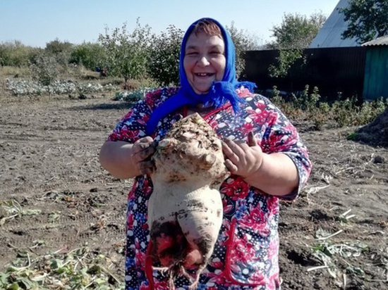 Что вырастили на грядках жители Черноземья Что вырастили на грядках жители Черноземья