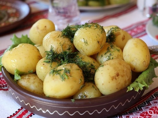 Тульская область - лидер по производству картофеля, и аутсайдер - по овощам