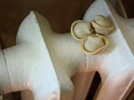 Прокуратура проверяет теплоснабжающую организацию в Суоярви