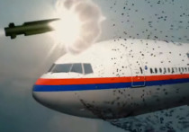 В парламенте Нидерландов одобрили проведение дополнительного расследования роли Киева в деле крушения «Боинга» Malaysia Airlines на востоке Украины в июле 2014 года