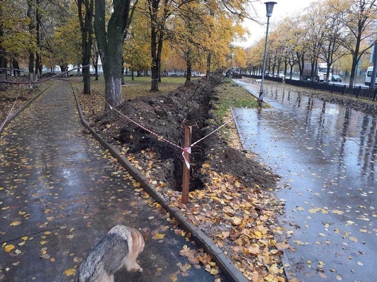 В Ярославле при реконструкции парка опять пострадали деревья