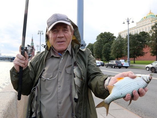Россиянам рассказали, как распознать некачественные рыбу и икру
