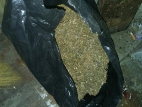 У жителя Назарово изъяли более 1 килограмма конопли