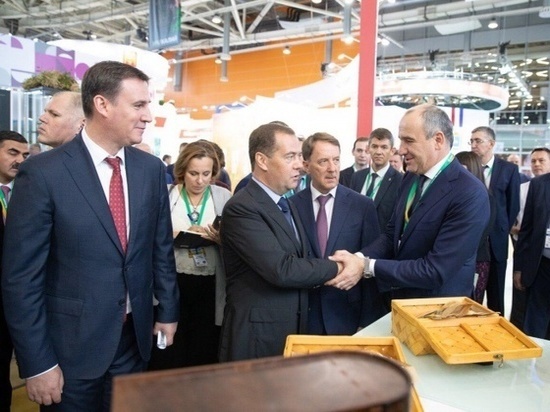 Дмитрий Медведев поддержал проект по мини-садам в Карачаево-Черкесии