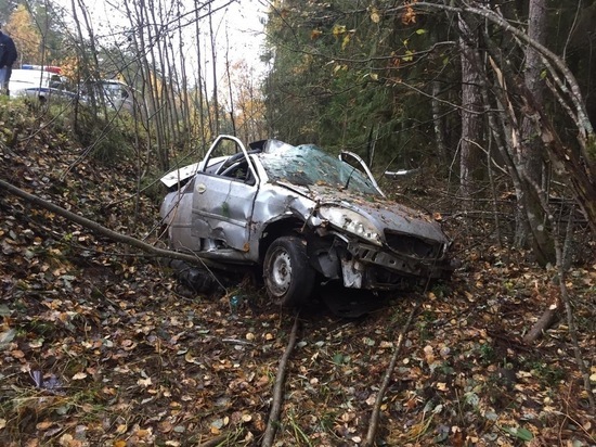 Нетрезвый водитель съехал в кювет и попал в больницу в Тверской области