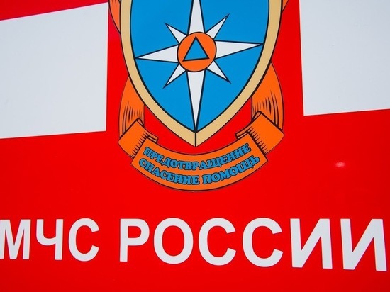 В Волгограде спасли 3-летнего ребенка от падения из окна