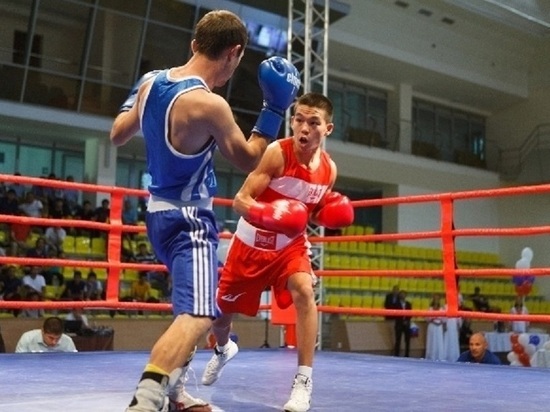В Калмыкии пройдет чемпионат по боксу памяти Церена Балзанова