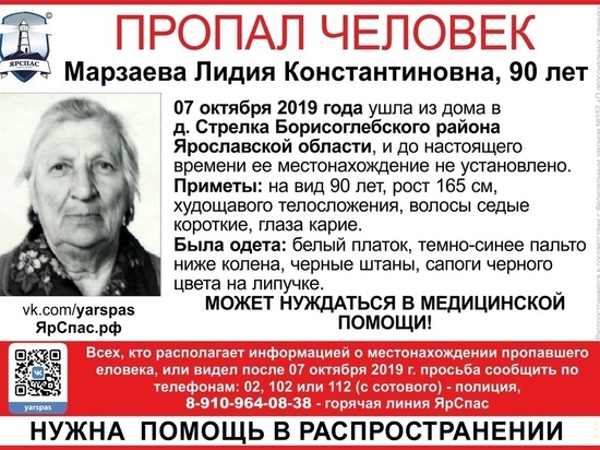 В Ярославской области пропала 90-летняя пенсионерка