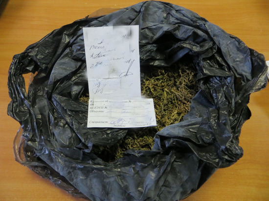 В Хакасии транспортные полицейские задержали нескольких человек с растительными наркотиками