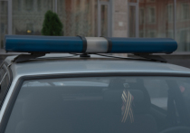 Подозреваемый в шокирующем убийстве 9-летней девочки в Саратове Михаил Туватин арестован и уже сознался в преступлении